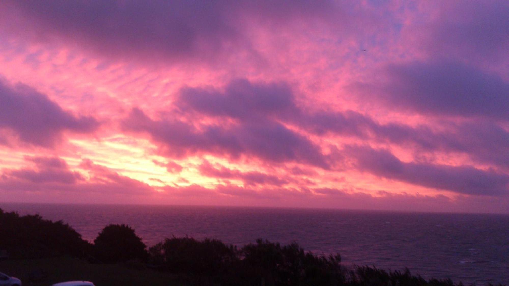 Ventnor Bay House Bed and Breakfast Eksteriør billede